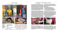 Cattery Boarding Cattery Design case study USA